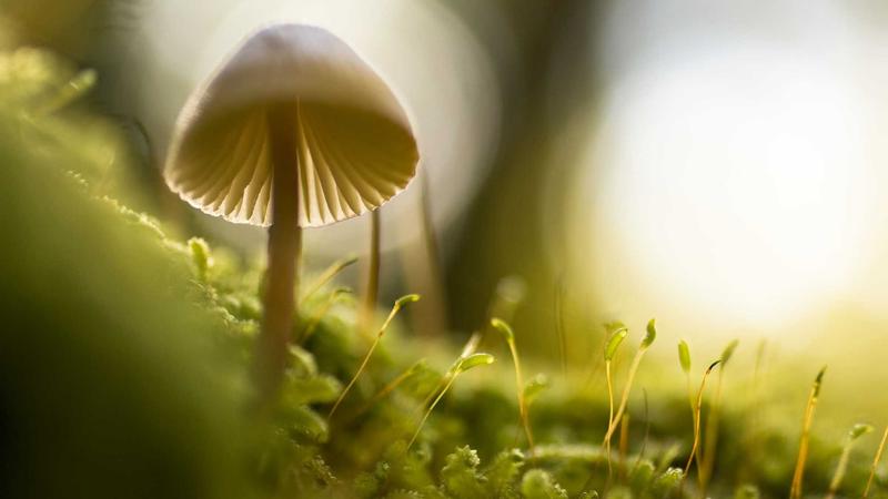 南宫最新网址导航指南，高效对接商业新机遇